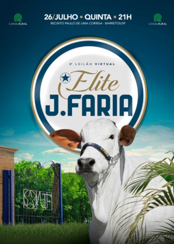 LEILÃO ELITE J FARIA