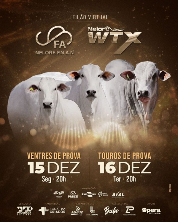 Leilão Virtual Nelore F.N.A.N e Nelore WTX - Ventres de Prova