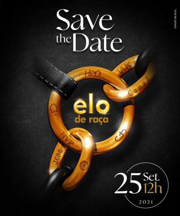 LEILÃO ELO DE RAÇA