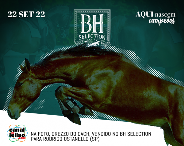 BH SELECTION 2022