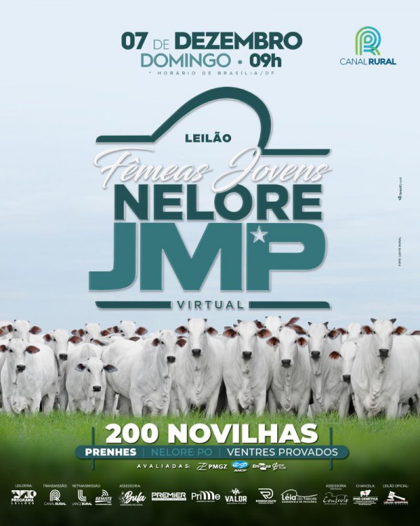 LEILÃO FÊMEAS JOVENS NELORE JMP