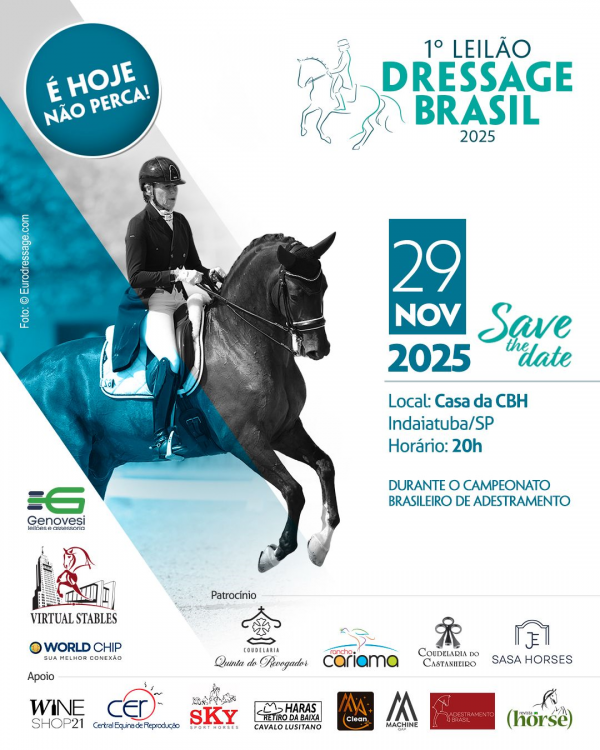 1º LEILÃO DRESSAGE BRASIL 2025