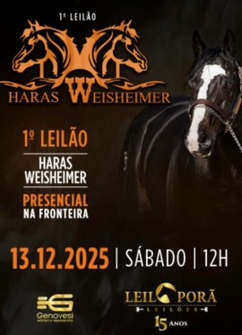 1º Leilão Haras Weisheimer na Fronteira