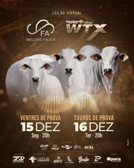 Leilão Virtual Nelore F.N.A.N e Nelore WTX - Touros de Prova