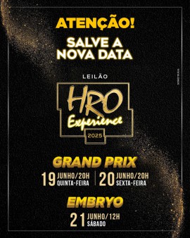 Leilão Gran Prix HRO Experience