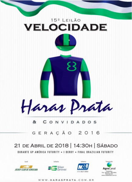 15º Leilão Velocidade Haras Prata e Convidados