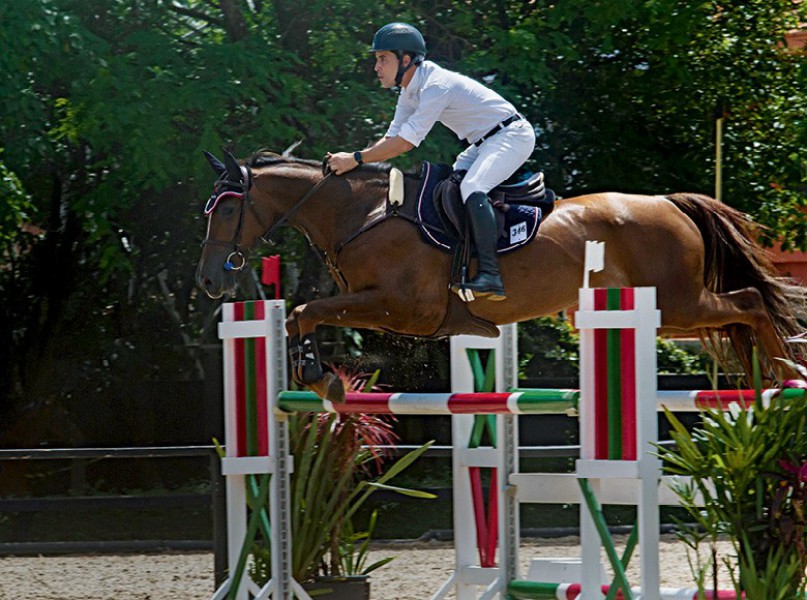 Boas perfomances nas provas valorizam cavalo brasileiro de hipismo